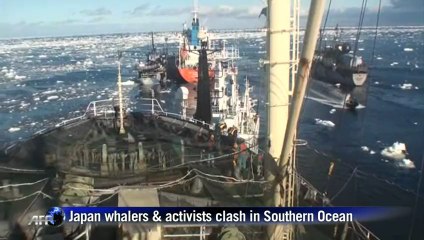 Japan vows to keep whale hunt after activist clash