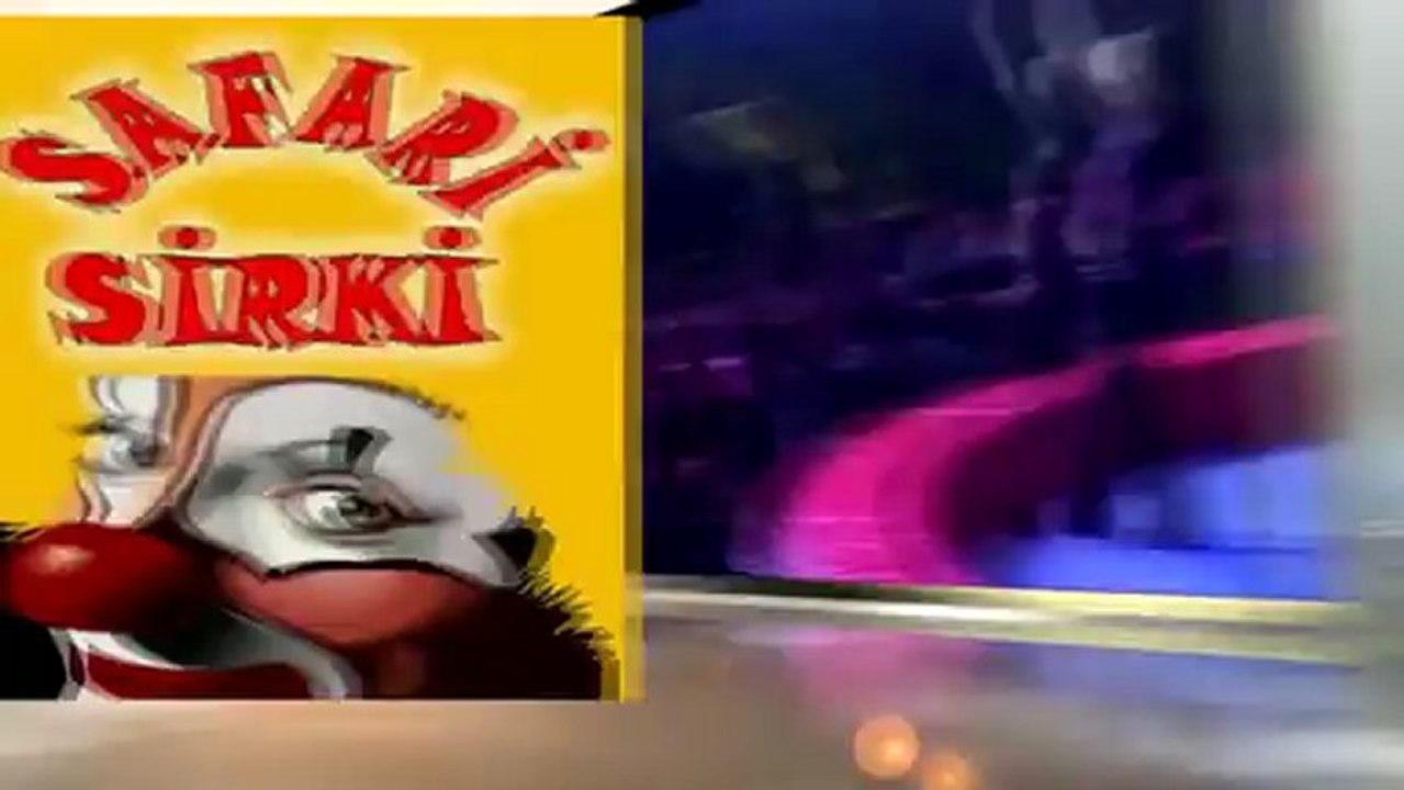 safari sirk