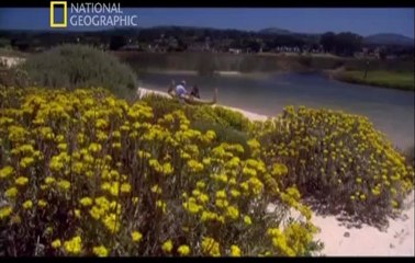 Amerikayı Kim Keşfetti