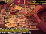Horoscopo Capricornio del 14 al 20 de junio 2009 - Tarot