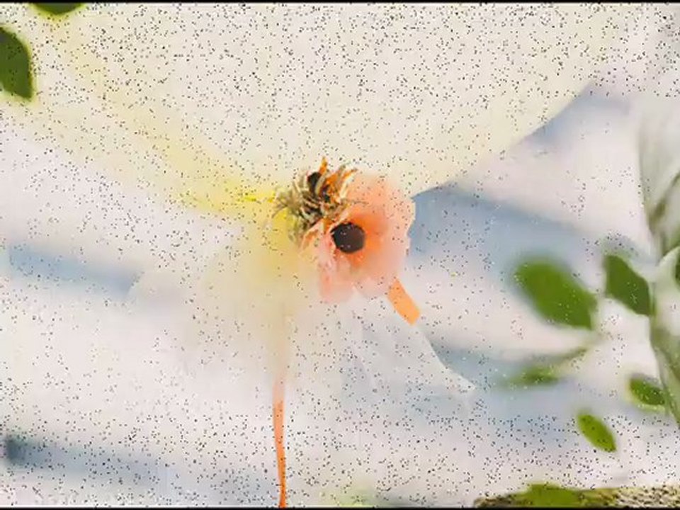 Wedding Photography Style