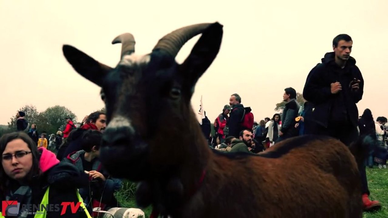 Notre Dame des Landes : "Opération Asterix" les manifestants réoccupent la ZAD