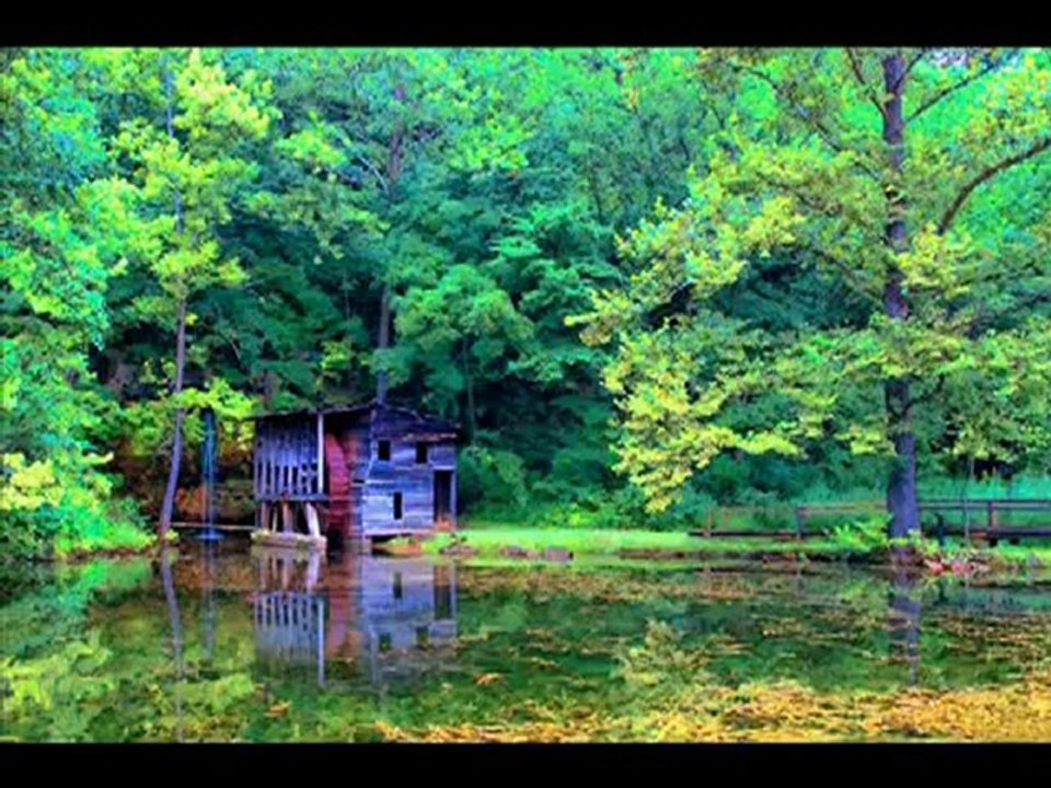 Emin Güllüce - Bahar Geldi Gül Açtı