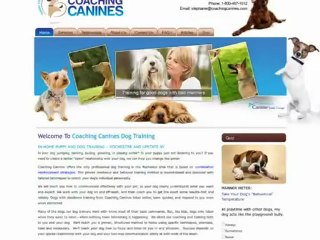 Coaching Canines goes online with a new website designed by 123Triad