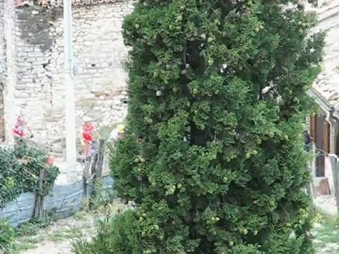 Passeggiata in bicicletta - Festa di San Rocco a Elcito 14-08-09