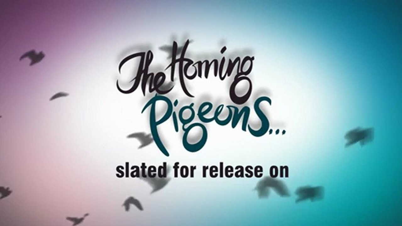 The Homing Pigeons...