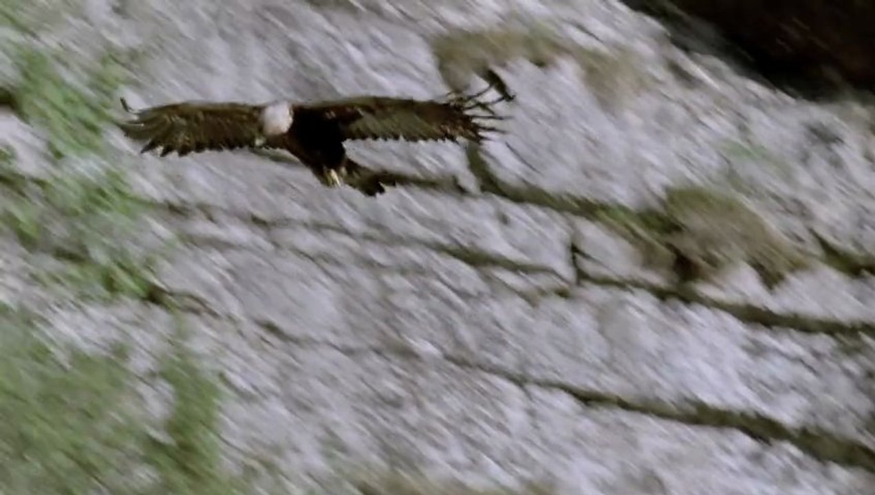 JMBERTRAND_VERTIGE_BA_HD_H264