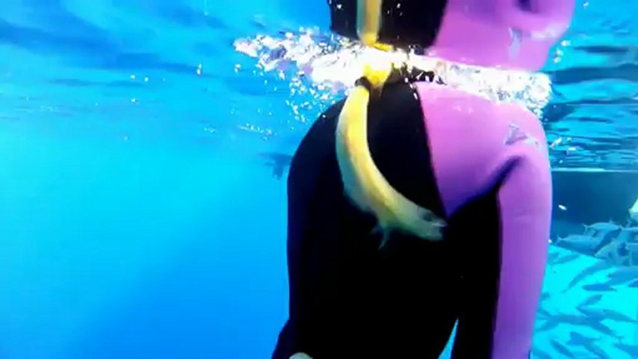 GoPro A Blonde and a Great White Shark