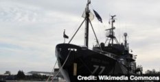 Anti-Whaling Boat Sea Shepherd Clashes With Japanese Whalers