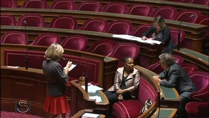 Cécile Cukierman Question au gouvernement sur le risque minier