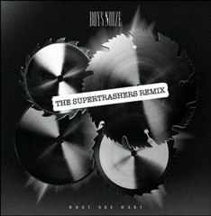 Boyz Noize - What you want (The Supertrashers remix)