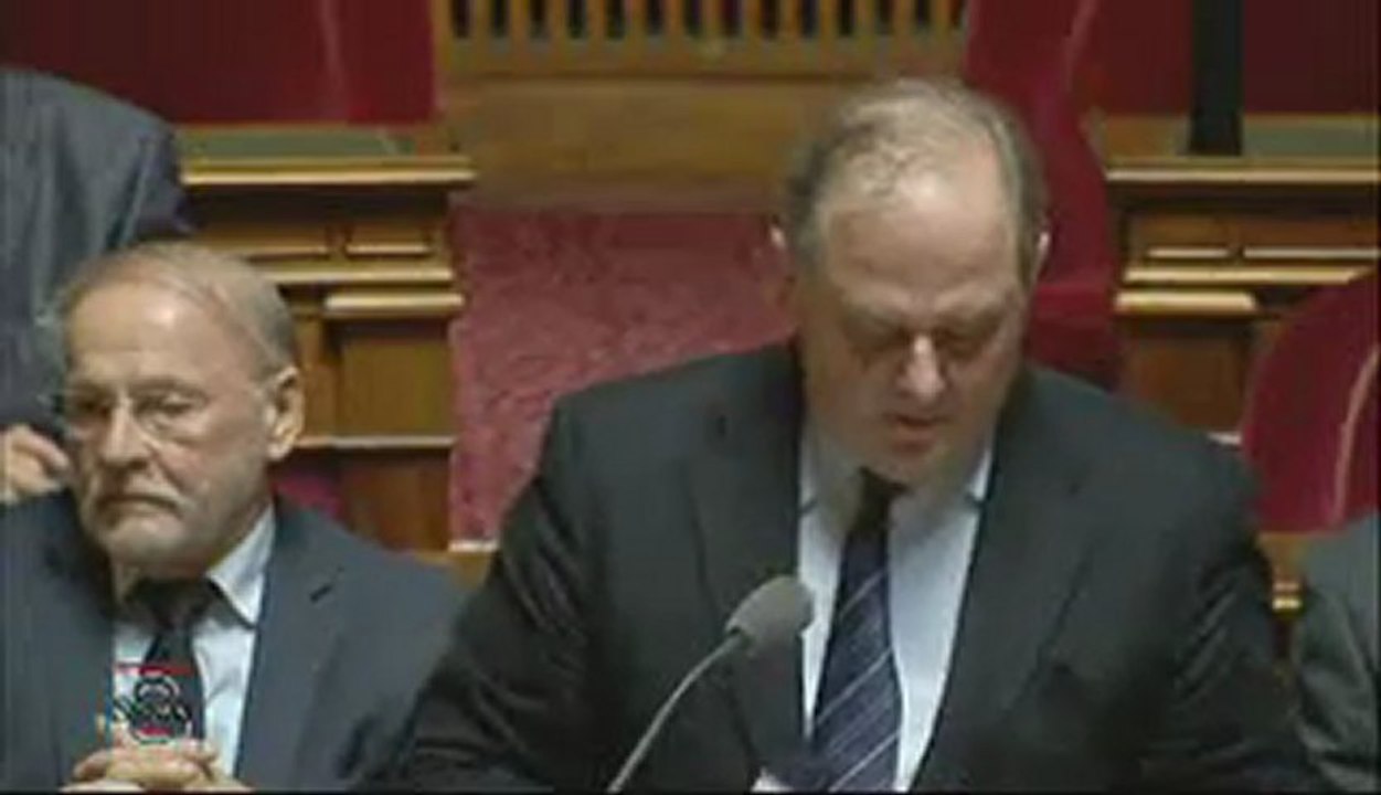 QAG de Jean-Jacques Mirassou sur la filière viende 21 février