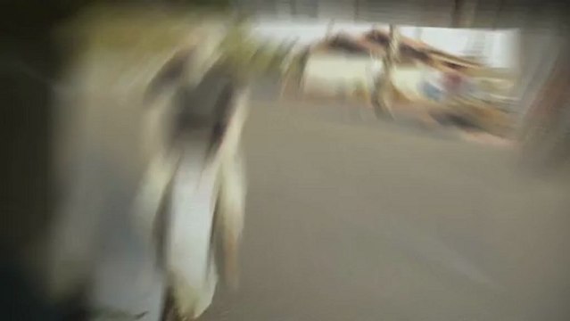 Self-Balancing Unicycle EcoBoomer iGO