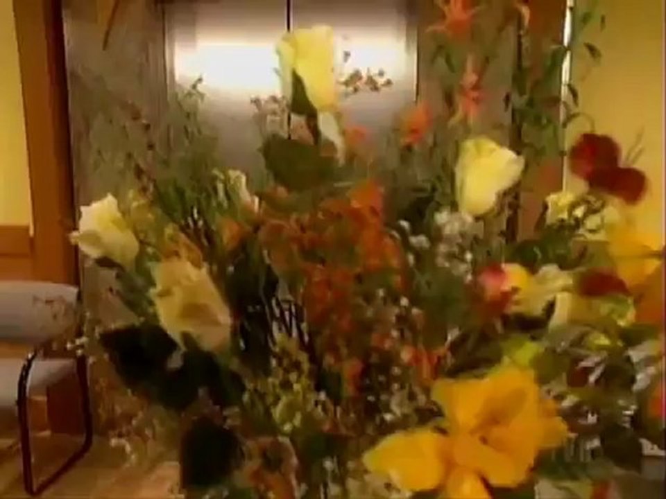 Le Coeur A Ses Raisons Saison 1 Episode 3 Le testament de Doug