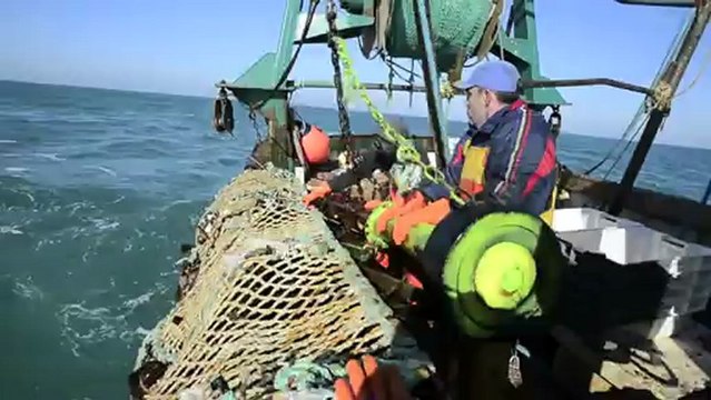 Pêche à la coquille : une journée en baie de Chausey