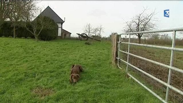 Des idées de campagne 5/5: avec les porteurs de projets du pays de Bray