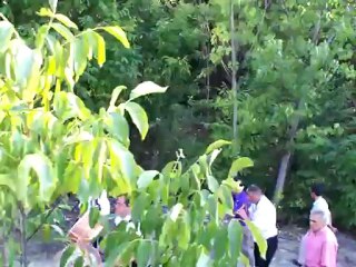 abdullah ASLAN Düğünü Tepeye çıkış