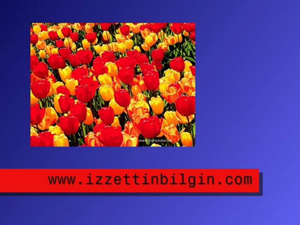 Kırmızı portakalım - İzzettin Bilgin