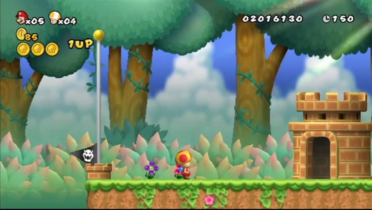 New Super Mario Bros. Wii - Monde 5 : Niveau 5-2