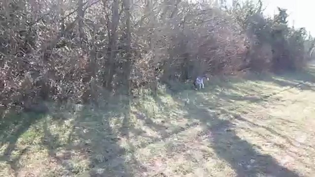 petite pointe de vitesse