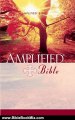 Bible Review: Amplified Bible by Zondervan