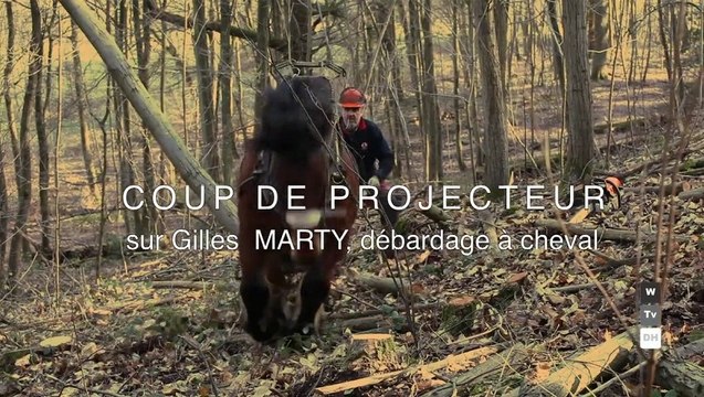 Gilles Marty - Débardage à Cheval
