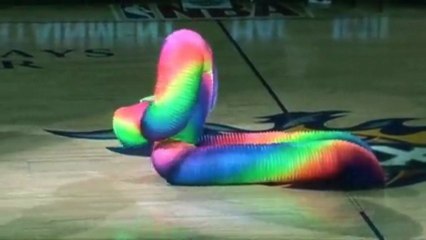 NBA Phoenix Suns Halftime Entertainment