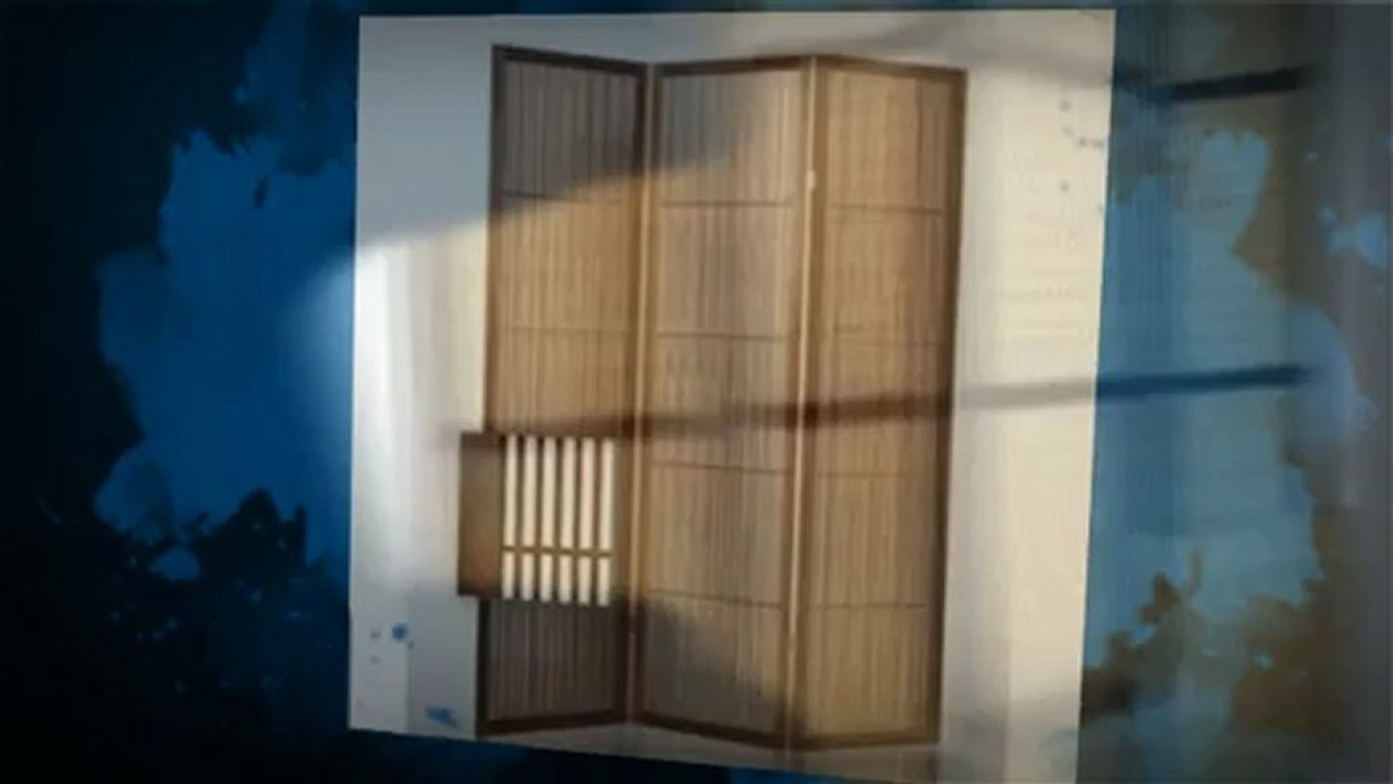A Wide Selection of Room Dividers