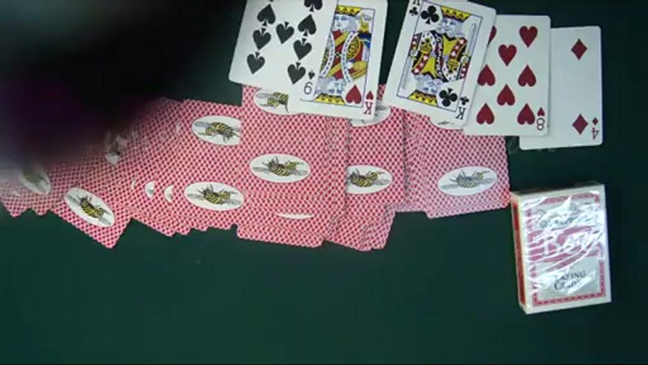 plastik oyun kartları--Bee(With Picture)1--poker hile