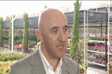 İstanbul'da lale devri