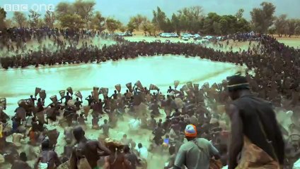 Thousands of fishermen empty lake in minutes - Human Planet_ Deserts, preview - BBC One