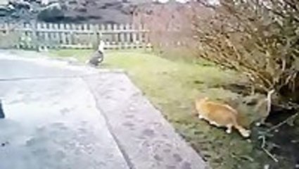 The Worst Hunting Partner Ever