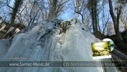 Eiswelt im Wald "Natursymphonie" - Entspannende Musik von Santec Music