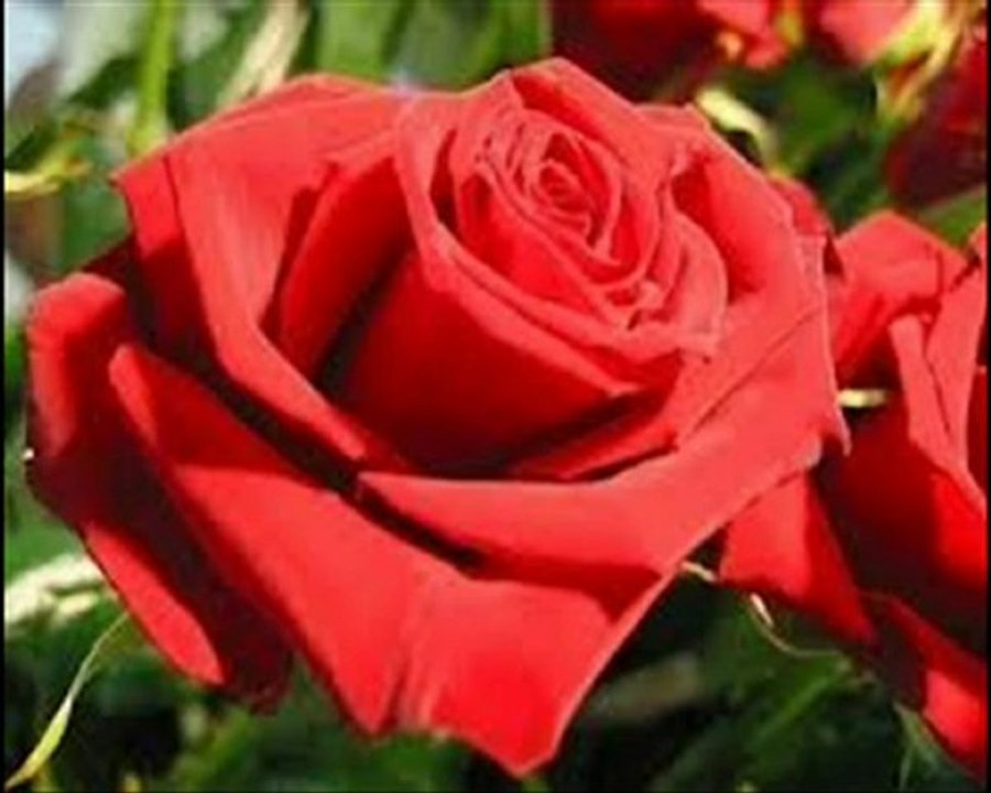 Chanson LE CHIFFON ROUGE