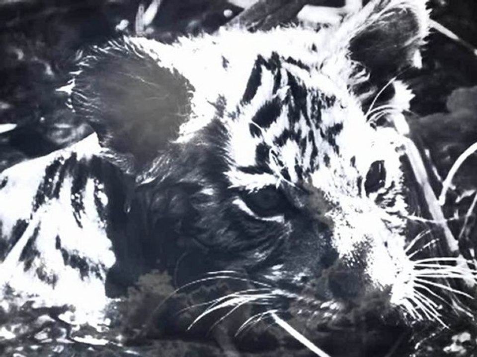 bob marley  satisfy my soul cover jose sotto jul11