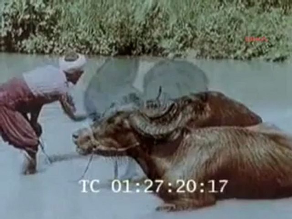 1800'lü yıllardan bursa videosu