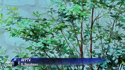 Works of art in Hong Kong hotel bedrooms