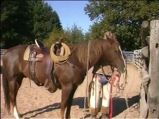 Cheval de Ranch - 1°Ranch Trail