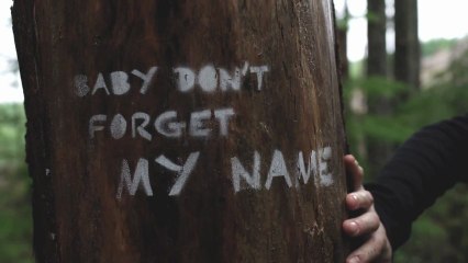 Ellie Goulding "Bittersweet" from Breaking Dawn 2