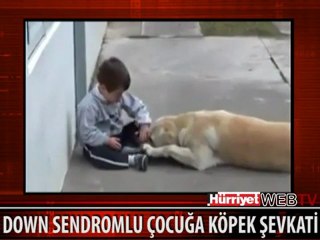 Bir Köpeğin -Down Sendromlu- Bir çocukla Ilgilenmesi - Video