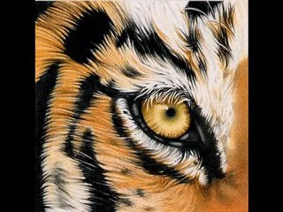 Ibrahim Tatlises - Ne Guzel Tiger Gozlerin Var Remix By Isyankar365