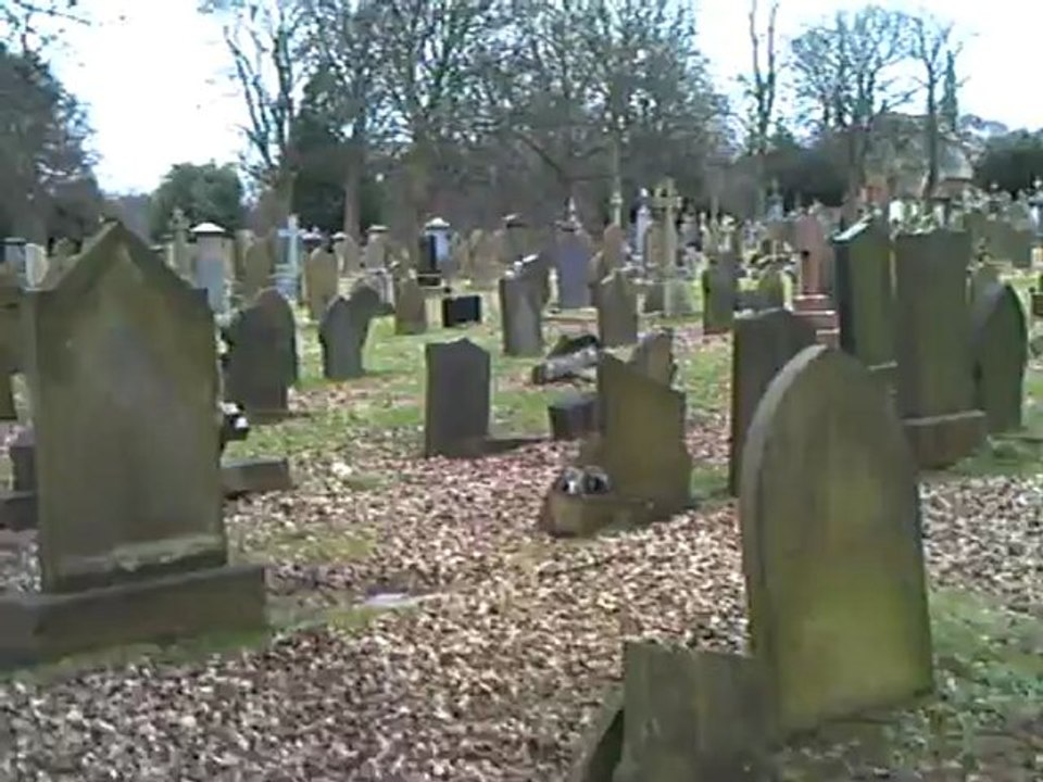 CLIP0524
