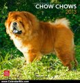 Calendar Review: Chow Chows 2013 Square 12X12 Wall Calendar (Multilingual Edition) by BrownTrout Publishers