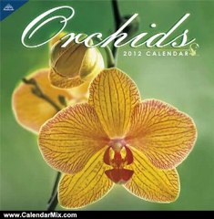 Calendar Review: 2012 Orchids 12X12 Wall calendar by Perfect Timing - Avalanche