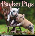 Calendar Review: Pocket Pigs 2013 Wall Calendar: The Teacup Pigs of Pennywell Farm by Richard Austin