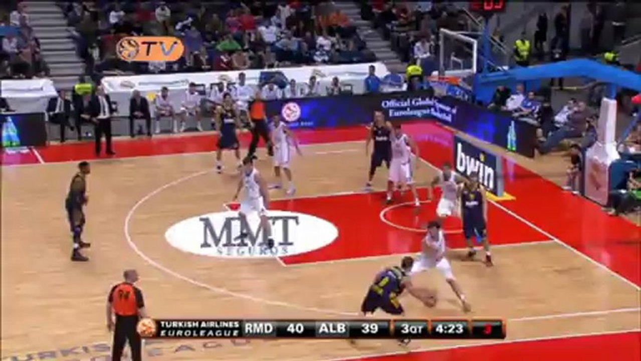 Alba schnuppert an der Sensation