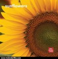 Calendar Review: Sunflowers 2013 7X7 Mini Wall by BrownTrout Publishers
