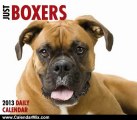Calendar Review: Just Boxers 2013 Box Calendar (Just (Willow Creek)) by Willow Creek Press