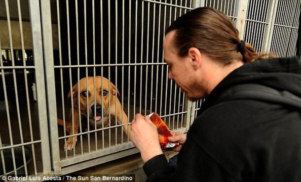 Dog Owner Threatens To Sue Shelter Worker Who Saved His Dog Buzz Lightyear