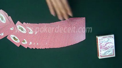 MARKED-PLAYING-CARDS-Bee(With Picture)1_0